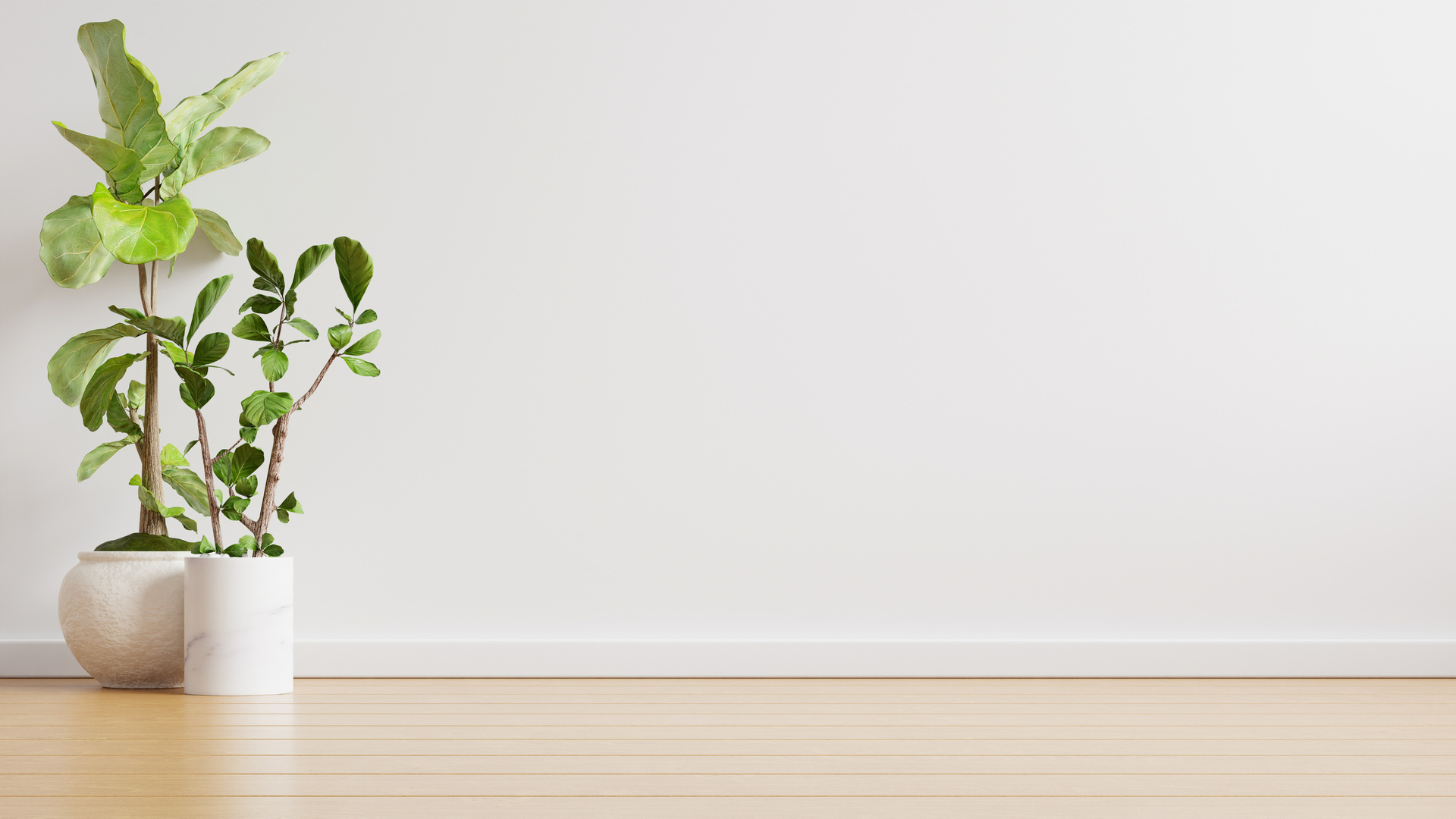 Empty Room with Plants on a Floor